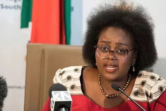 South Africa Reports Economic Fallout as Xenophobia Claims Affect Businesses, Artistes South Africa’s Minister of Justice and Constitutional Development, Mmamoloko Kubayi