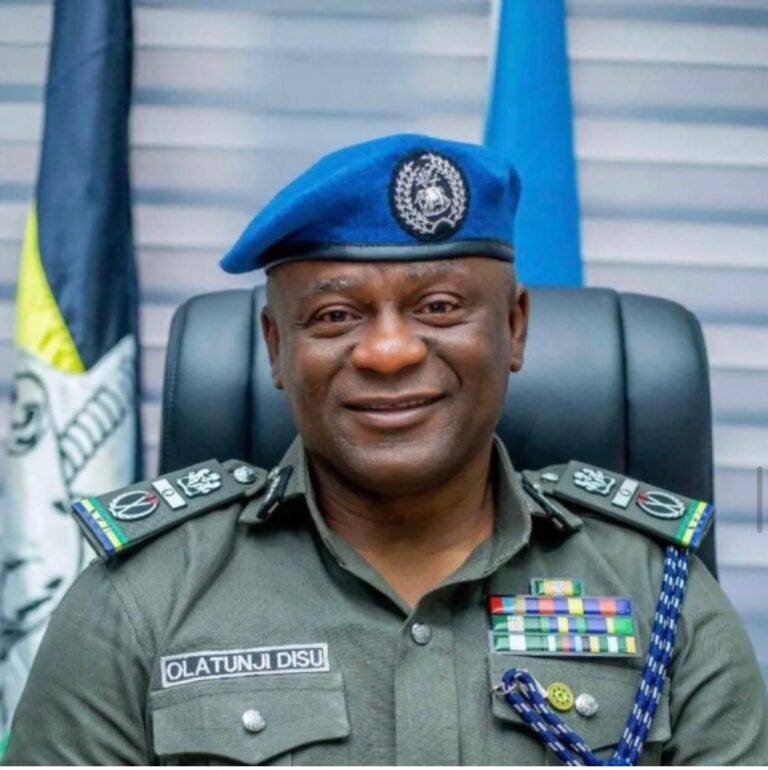 President Tinubu appoints Tunji Disu as Acting IGP